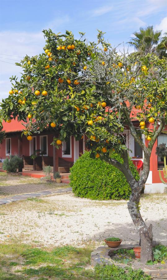 Monte da Xica - Somente Adultos Zambujeira do Mar Exterior foto